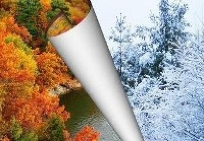 Ставки на снег прекращены