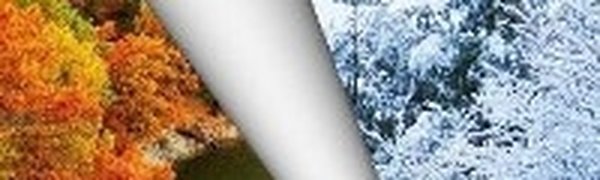 Ставки на снег прекращены