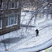 Первый снег