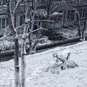 Первый снег