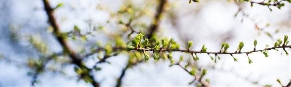 В предстоящее воскресенье погода в Приморье улучшится