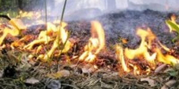 Приморье по-прежнему греется под солнцем
