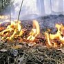 Приморье по-прежнему греется под солнцем