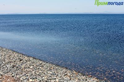 В прибрежных районах Приморья усилят пропускной режим 