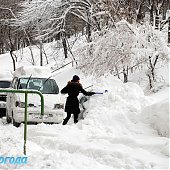 Морозный снежный воскресный день 