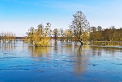 Водность большинства рек Приморья превышает норму в 3,6 раза