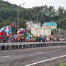 Низководный мост де-Фриз