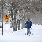 Чрезвычайная ситуация объявлена в трех штатах США из-за снегопадов