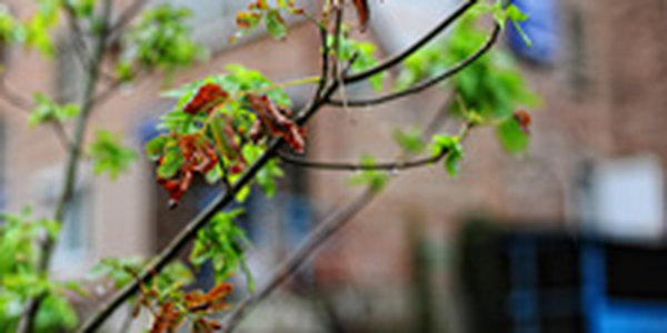 Причина неустойчивой погоды в Приморье — малоподвижный тропосферный циклонический вихрь