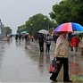 В четверг в Приморье будет дождливо