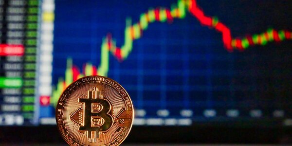 Эксперты Profinvestment назвали лучшие биржи с демо-счетом