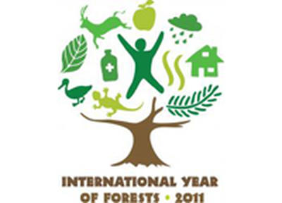 2011 год — Международный год Лесов 2011 год — Международный год Лесов
