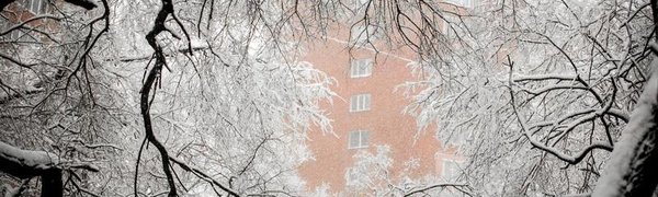 В начале февраля интенсивных снегопадов в Приморье не ожидается