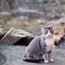 День 9 марта стал самым теплым в Приморье с начала весны