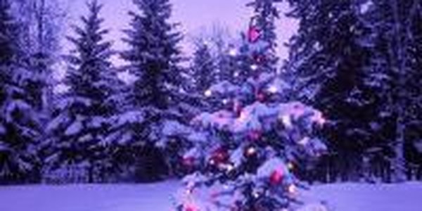 В предновогодние дни в Приморье установилась погода без осадков