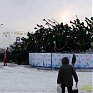 У природы нет плохой погоды (фотообзор 2010)