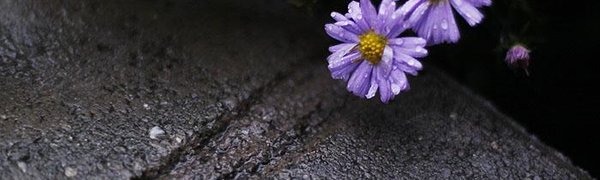 Ночью на северо-востоке Приморья ожидаются заморозки