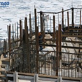 Весна на стройке моста на о.Русский (ФОТО)