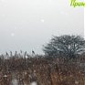 Во Владивостоке выпала декадная норма осадков, а на юге края снежный покров достиг высоты 42 см