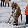 Сделаем город чище: санитарный двухмесячник стартовал
