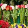 Погода на 8 марта: подробный прогноз для Приморья и Владивостока