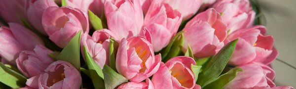 Точный прогноз погоды на праздничные выходные в Приморье подготовили синоптики