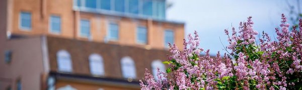 Во Владивостоке в ближайшие сутки сохранится облачная погода