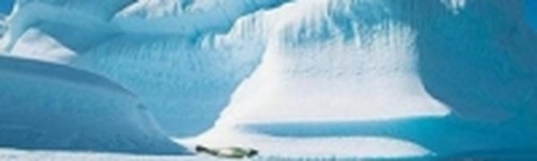 Подтверждена связь между потеплением в Арктике и холодными зимами в Северном полушарии