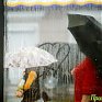 Циклон ударит по Приморью сильным ветром и дождём