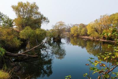 Река Арсеньевка