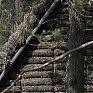 В Дании построили уникальный дом из водорослей