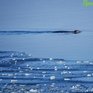 Потепление до плюсовой температуры ожидается в Приморье в пятницу