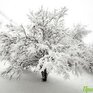 Высота снега в центральных районах Приморья достигает 67 см