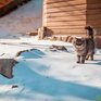 Морозные ночи сменят оттепели днем в первые выходные зимы в Приморье