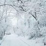 Сильный и очень сильный снег, метель и гололедные явления, штормовой ветер: всё о циклоне в Приморье на Примпогоде