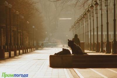 Тепло не по сезону: во Владивостоке +4 °C, ночью пройдёт дождь