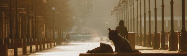 Тепло не по сезону: во Владивостоке +4 °C, ночью пройдёт дождь