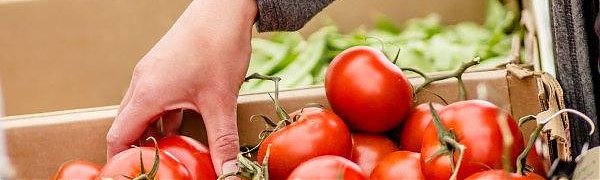 Продуктовая ярмарка развернулась на центральной площади Владивостока