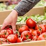 Продуктовая ярмарка развернулась на центральной площади Владивостока