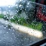 Последний день сентября в Приморье будет пасмурным и дождливым