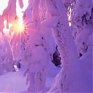Умеренно-морозная погода установилась в Приморье