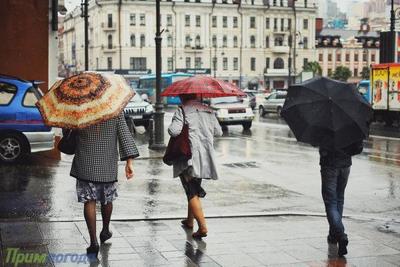 Во Владивостоке в выходные дни будет сыро и холодно