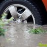 В ближайшие сутки дожди в Приморье пойдут на убыль