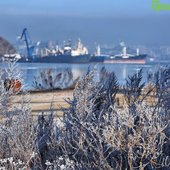 Зимние каникулы в Приморье завершатся оттепелью