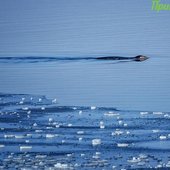 Зимние каникулы в Приморье завершатся оттепелью