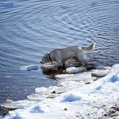 Зимние каникулы в Приморье завершатся оттепелью