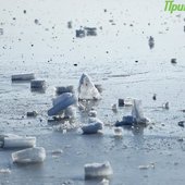 Зимние каникулы в Приморье завершатся оттепелью