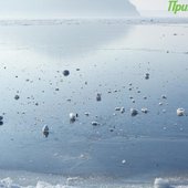 Зимние каникулы в Приморье завершатся оттепелью