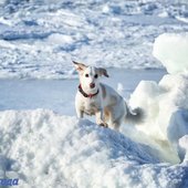Зимние каникулы в Приморье завершатся оттепелью
