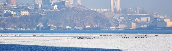Выход на лёд категорически запрещён в Приморье